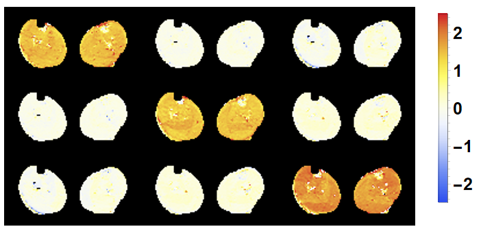 fitted diffusion tensor